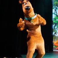 Scooby Doo Scooby 